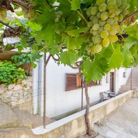 Apartmani Mw, Plavi Apartman บัชกา ภายนอก รูปภาพ