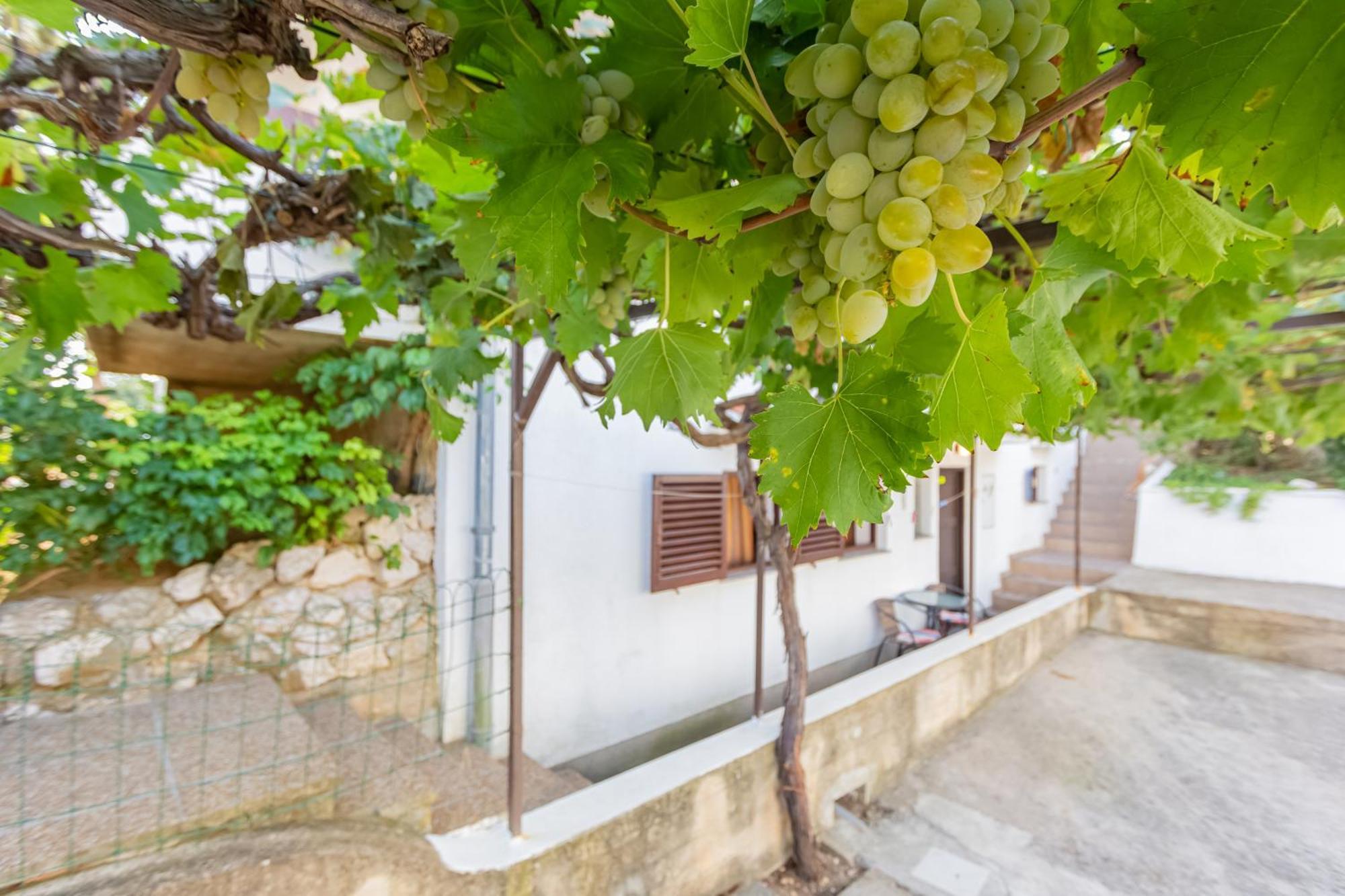 Apartmani Mw, Plavi Apartman บัชกา ภายนอก รูปภาพ